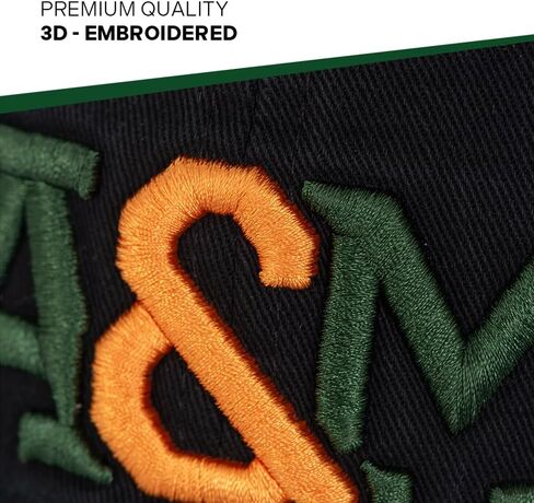 قبعة بيسبول جامعة صبار الصحراء فلوريدا A&M من FAMU Rattlers ذات حواف مطرزة وحزام قماش قابل للتعديل للبالغين (نمط F) أسود in Saudi Arabia