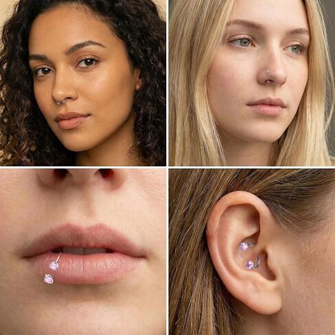 Horse Shoe Nose Rings for Women, Surgical Steel Nose Ring, 18g Pink Cubic Zirconia Noses Piercing, Silver Cartilage Helix Tragus Earring Hoops, Lip Eyebrow Helix Ear Piercing Jewelry in Saudi Arabia