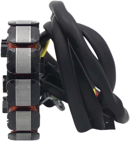 Motorcycle Stator Coil Generator 5TJ-81410-00 5TJ-81410-09 5TJ-81410-30 5TJ-81410-31 Compatible With WR 450 WR450F 2003-2006 in Saudi Arabia