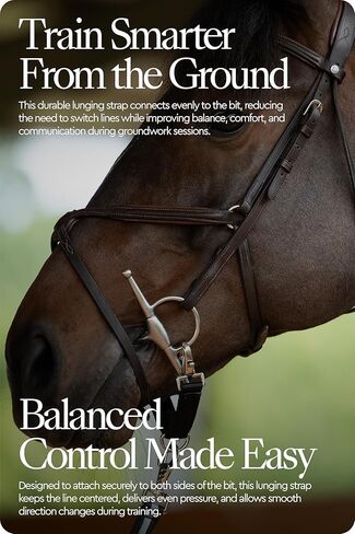 HORZE Lunging Strap for Horse Lunge Line in Kuwait