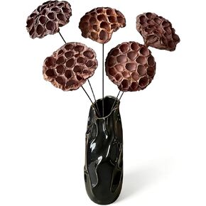 Natural Dried Lotus Pods with Stems 20'' Artificial Long Stems for Home Decor (Mix 5pcs Large and 4pcs Small) in Saudi Arabia