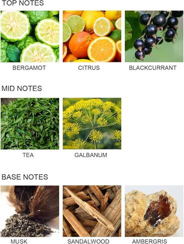 UCC Reed Diffuser Set, 3.38 oz Silver Mountain Spring Premium Scented Diffuser with Flower Sticks Home Fragrance Reed Diffuser for Bathroom Shelf Decor in Kuwait