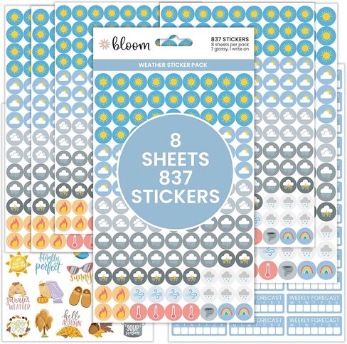 bloom daily planners Budget Planner Stickers for Personal Finance, Budgeting, Money, Bill, Debt and Expense Tracking (8 Sheets, 875 Stickers per Pack) in Saudi Arabia