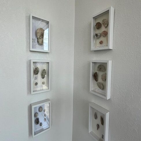 6 Pack 4x6 Shadow Box Frame Display Box, Small Wooden Frame Memory Display Box, 1.2-inch Deep Photo Display Box, Used for Dried Flowers, DIY Handicrafts, Souvenirs, Medals (White) in Kuwait