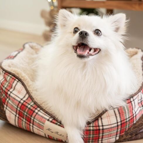 سرير هاري باركر منقوش باللون الأحمر والكريمي متوسط in Kuwait