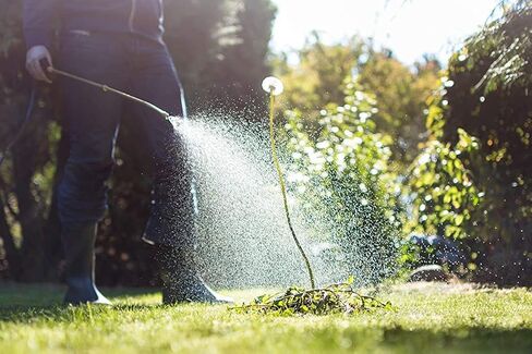 بخاخ Zep Weed Defeat Sprayer 2 جالون 781101 (وحدة واحدة) مقاوم للصدأ ومقاوم للانبعاج، قوة صناعية، أبيض in Saudi Arabia