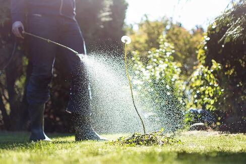 بخاخ Zep Weed Defeat Sprayer 2 جالون 781101 (وحدة واحدة) مقاوم للصدأ ومقاوم للانبعاج، قوة صناعية، أبيض in Saudi Arabia