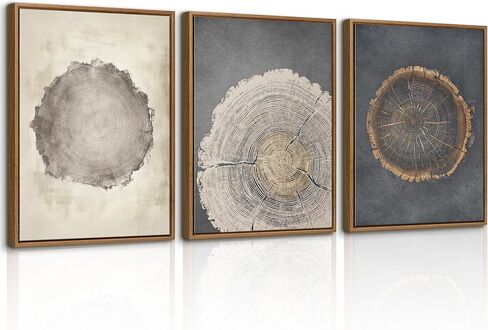 WENGTIAO 3Pcs Neutral Tree Ring Framed Canvas Wall Art Beige Gray Wood Stump Paintings Nature Rustic Farmhouse Wall Decor Pictures Modern Art Prints For Living Room Bedroom Office 16"x24"x3 in Kuwait