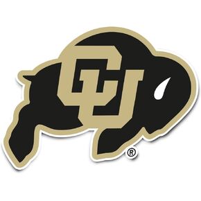 Desert Cactus University of Colorado Buffaloes Buffs Vinyl Decal Laptop Water Bottle Car Scrapbook Sticker (IND 1)