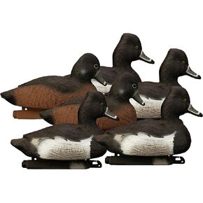 Higdon Outdoors Standard Ringneck Duck Decoys, Foam-Filled