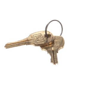 Hoshizaki 4A0460-01 Lock & Key