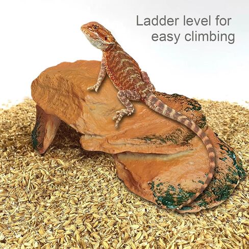 YK Siguoril Rock Hideout Caves for Reptile and Amphibians,Decorative Resin for Glass Terrarium Tank, Great for Reptiles in Saudi Arabia