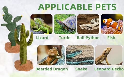 زخارف YOXCASTSLG صبار راتنج، قطعتان مقاس 5. 5 بوصات نباتات صبار ديكور لخزان الزواحف - ملحقات محاكاة موطن الصبار للسلحفاة السحلية التنين الملتحي الحرباء الفهد أبو بريص ثعبان السمك in Kuwait