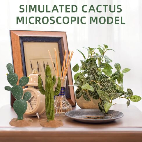 زخارف YOXCASTSLG صبار راتنج، قطعتان مقاس 5. 5 بوصات نباتات صبار ديكور لخزان الزواحف - ملحقات محاكاة موطن الصبار للسلحفاة السحلية التنين الملتحي الحرباء الفهد أبو بريص ثعبان السمك in Kuwait