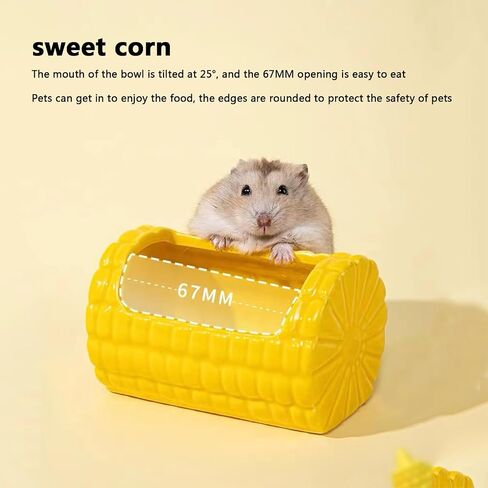 Hamster Food Bowl,Corn Shape Funny Small Animals Pet Bowl for Hamster,Mini Ceramic Food Water Feeding Bowl for Guinea Pigs，Gerbil，Mouse Rat，Chinchilla and Hedgehog (Cream) in Saudi Arabia