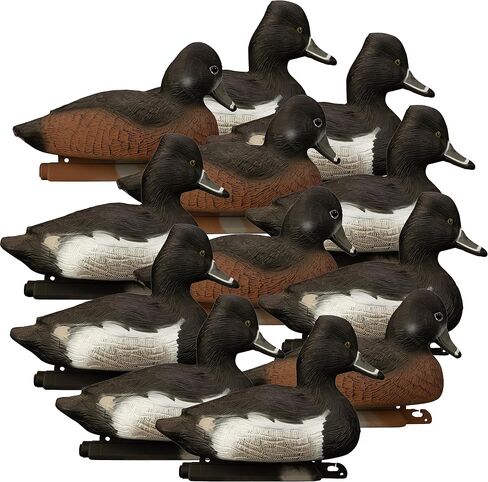 Higdon Outdoors Standard Ringneck Duck Decoys, Foam-Filled in Saudi Arabia