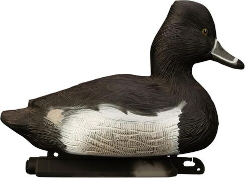 Higdon Outdoors Standard Ringneck Duck Decoys, Foam-Filled in Saudi Arabia