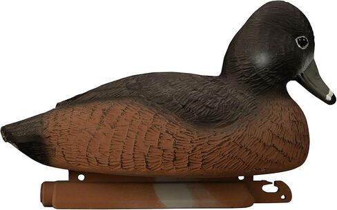 Higdon Outdoors Standard Ringneck Duck Decoys, Foam-Filled in Saudi Arabia
