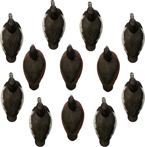 Higdon Outdoors Standard Ringneck Duck Decoys, Foam-Filled in Saudi Arabia