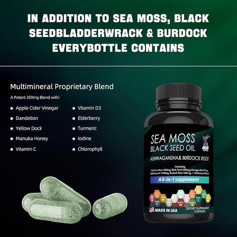 120 Seaweed Capsules Supplement, Organic Seaweed, Seaweed Capsules, Enriched with Minerals and Burdock Root, Pure Natural Seaweed, Boosts Immune System, Gut, and Energy… in Saudi Arabia
