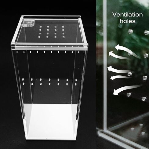 ZUDKSUY Acrylic Box Terrarium 2.95" x 2.95" x 5.9" Reptile Tank Miniature Clear Habitat Reptile Enclosure for Invertebrates in Saudi Arabia