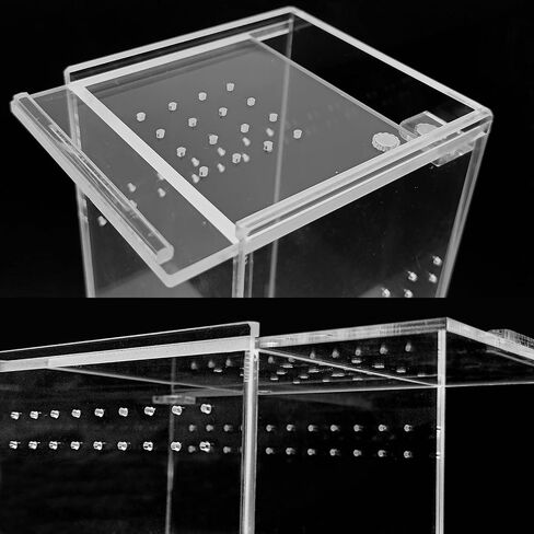 ZUDKSUY Acrylic Box Terrarium 2.95" x 2.95" x 5.9" Reptile Tank Miniature Clear Habitat Reptile Enclosure for Invertebrates in Saudi Arabia