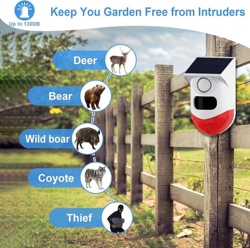 إنذار مستشعر الحركة الخارجية ChunHee WiFi بالطاقة الشمسية، تشغيل تطبيق Tuya، ضوء صفارة أمان الصوت 130 ديسيبل مع جهاز تحكم عن بعد، كاشف حركة مقاوم للماء IP67 للمنزل، الفيلا، المزرعة، الحظيرة، الفناء، حظيرة الدجاج 2 حزمة in Kuwait