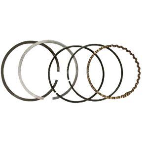 RAParts 500-728 حلقة المكبس الكروم Std تناسب بشكل خطير محركات Kohler K241 10 HP in Kuwait