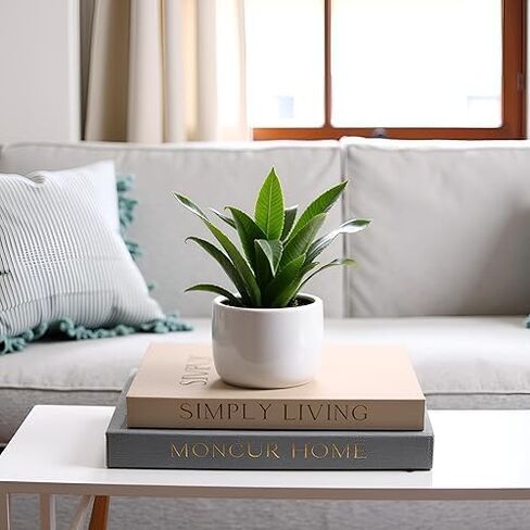 Set of 2 Decorative Books - Linen Storage Box for Coffee Table Faux Decor Boxes, for Bookshelf Fake Books for Decoration, Modern Home Decor-B2506-2PCS in Saudi Arabia