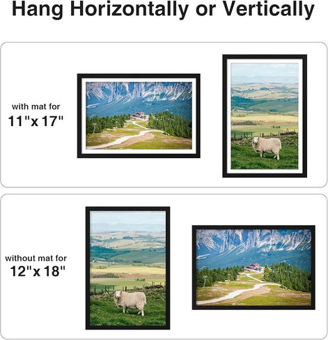 إطار ملصق Vitanly مقاس 12x18 للجدار، زجاج شبكي، يعرض صورة مقاس 11x17 مع حصيرة أو 12x18 بدون حصيرة، مادة إطار PVC، تعليق أفقي أو رأسي، عبوة واحدة، أسود in Kuwait