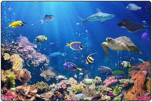 Carpets for Kids 61014 Explore The Ocean Decorative Reading Room Rug 4ft x 6ft Rectangle Blue in Saudi Arabia