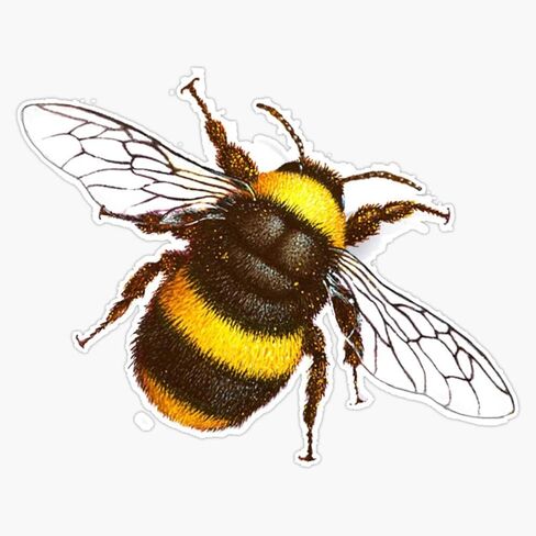 Bumble Bee Car Magnet - Flexible, Reusable Magnetic Vinyl 5" in Saudi Arabia