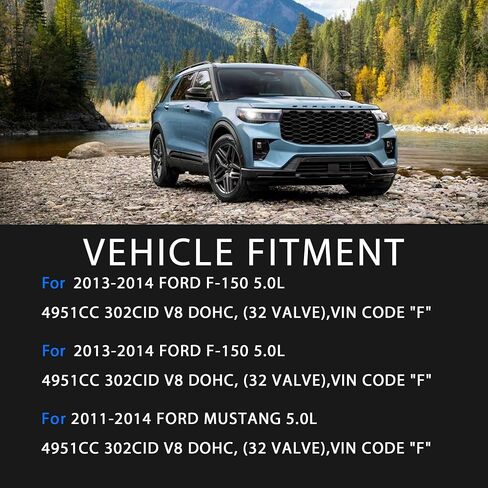 مجموعة حشية رأس الأسطوانة MLS مع حشية وعاء الزيت ومسامير الرأس لفورد F-150 2013-2014 F-150 فليكس 2011-2014 موستانج 2011-2017 GT 5.0L V8 302CID 32 صمام DOHC VIN F HS26550PT HGS4299 ES72479 HS8-20750 in Saudi Arabia