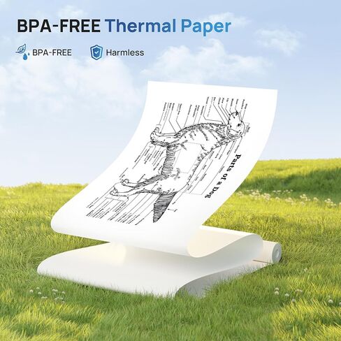 D820 Thermal Printer Paper 8.5 x 11 Inch, Continuous Thermal Paper Roll, US Letter Size printing paper Compatible with D820 Portable Printer, 2 Rolls in Saudi Arabia