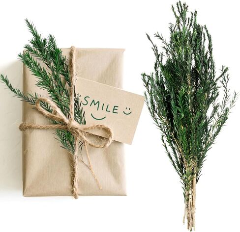 Dried Greenery Stem Decor - Dried Greenery Green Melaleuca Bracteata Branch Real Leaves Branches for Gift Box Decoration,Vase Filler,DIY Crafts,Flower Arrangement and Christmas Decorations in Saudi Arabia
