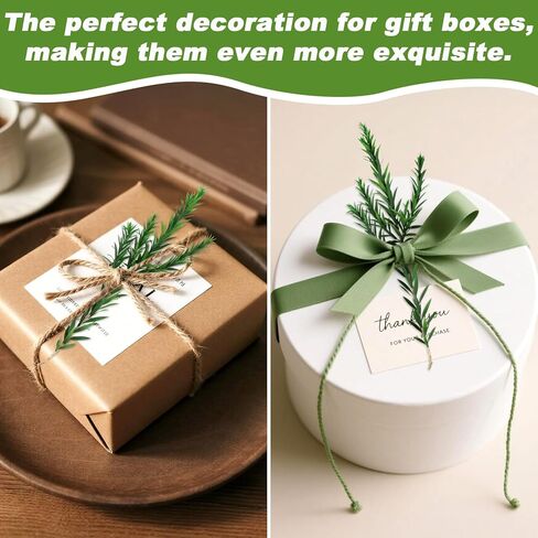 Dried Greenery Stem Decor - Dried Greenery Green Melaleuca Bracteata Branch Real Leaves Branches for Gift Box Decoration,Vase Filler,DIY Crafts,Flower Arrangement and Christmas Decorations in Saudi Arabia
