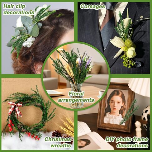 Dried Greenery Stem Decor - Dried Greenery Green Melaleuca Bracteata Branch Real Leaves Branches for Gift Box Decoration,Vase Filler,DIY Crafts,Flower Arrangement and Christmas Decorations in Saudi Arabia