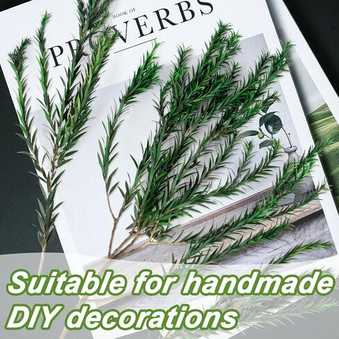 Dried Greenery Stem Decor - Dried Greenery Green Melaleuca Bracteata Branch Real Leaves Branches for Gift Box Decoration,Vase Filler,DIY Crafts,Flower Arrangement and Christmas Decorations in Saudi Arabia