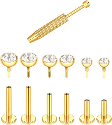16G 18G Internal Thread Stud Earrings for Women Surgical Steel Labret Piercing Jewelry for Tragus Helix Rook Conch Monroe Lip Labret Jewelry in Saudi Arabia