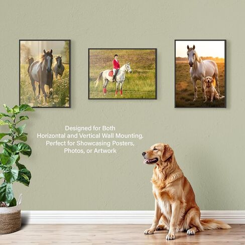 إطار ملصق Plexon مقاس 18 × 24 أسود، جدار أفقي أو عمودي، مجموعة من 10 إطارات ملصقات مقاس 18 × 24، صورة ألغاز معلقة، ملصق متين 24 × 18 إطار شبكي مصقول أمامي، طقم إطار معرض الحائط in Kuwait