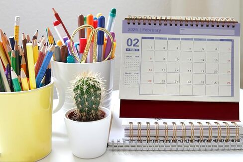 Desk Calendar 2026,Standing 2026 Desk Calendar,Flip Calender 14 Months Calendar(Nov 2025-Dec 2026) for Home School Office (Red) in Saudi Arabia