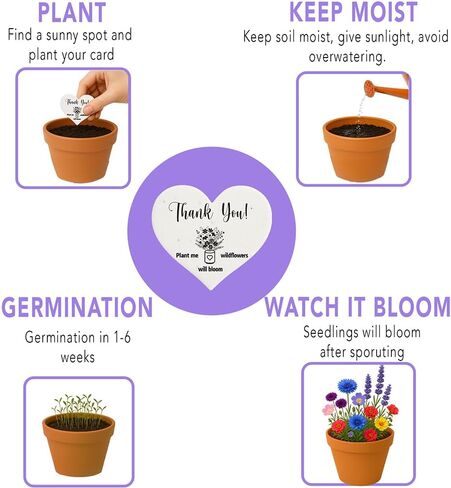 قلوب ورقية قابلة للزراعة 100 قطعة | ورق بذور مصنوع يدويًا ومزود ببذور الزهرة البرية | هدايا الحفلات لاستحمام الطفل | هدايا الزفاف للضيوف | بطاقات شكر للشركات الصغيرة in Kuwait