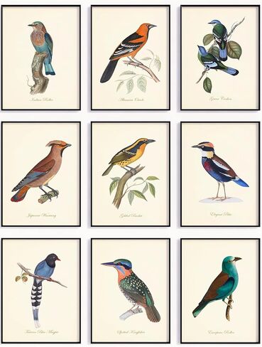 مطبوعات فنية لطيور عتيقة - ديكور حائط - طيور أودوبون - هدية لمحبي الطيور - عمل فني مطبوع جيكلي - مجموعة من 6 قطع - غير مؤطرة (8 × 10) in Kuwait