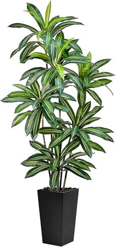 Artificial Dracaena Tree 5FT Tall Fake Plant with White Planter - Realistic Faux Dragon Tree with Tall Planter - Indoor Floor Plant for Home, Office,Mall, Living Room, Bedroom Decor in Saudi Arabia