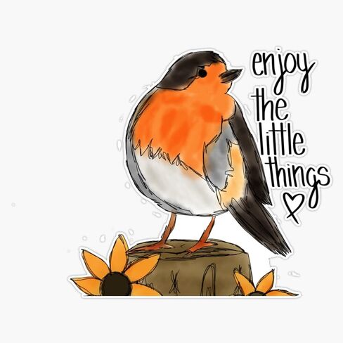 Enjoy The Little Things Robin Sticker Vinyl Waterproof Sticker Decal Car Laptop Wall Window Bumper Sticker 5" in Saudi Arabia