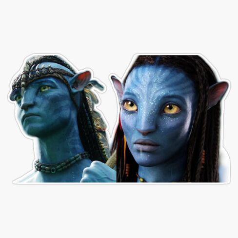 MAGNET Avatar Jake And Neytiri Magnetic Vinyl Sticker Decal Magnet 5" in Saudi Arabia