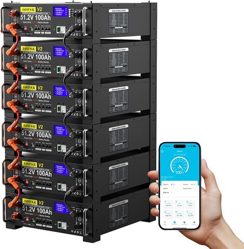 بطارية ليثيوم LiFePO4 الشمسية 48 فولت 100 أمبير، تدعم الاتصال العاكس، 100 أمبير BMS مدمج مع بلوتوث، بحد أقصى. مخرج طاقة 5120 وات، أكثر من 6000 دورة، مثالي للطاقة خارج الشبكة والطاقة الشمسية والطاقة الاحتياطية in Saudi Arabia