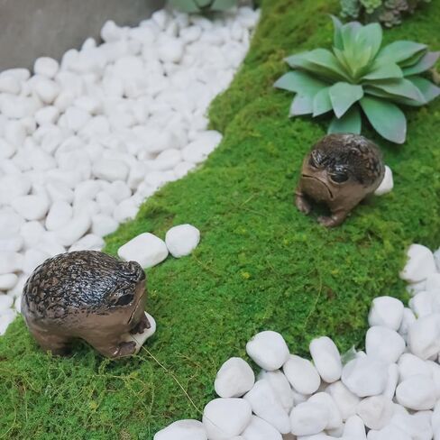 Weird Grumpy Angry Frog Toad Statue – Ugly Cute Resin Sculpture for Garden, Desk or Home Décor, Tiny Novelty Figurine with Gift Box, 1pcs in Saudi Arabia