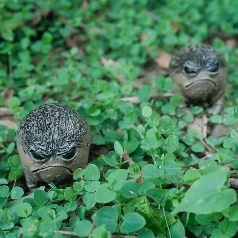 Weird Grumpy Angry Frog Toad Statue – Ugly Cute Resin Sculpture for Garden, Desk or Home Décor, Tiny Novelty Figurine with Gift Box, 1pcs in Saudi Arabia