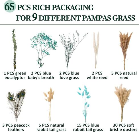 65 قطعة من باقة الزهور المجففة - عشب ذيل الأرنب، الأوكالبتوس، نفس الطفل، ريش الطاووس والقصب - ديكور بوهو ريفي للمنزل، ديكورات للمنزل، الزفاف، أو هدية in Kuwait